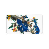 Étiquette Blue Jay par John James Audubon (Devant)