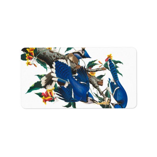 Étiquette Blue Jay par John James Audubon (Devant)