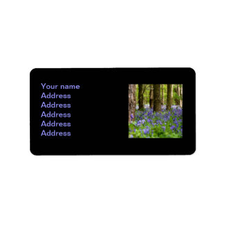 Étiquette Bluebell Woods