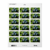 Étiquette Blueberries sur Bush (Feuille entière)