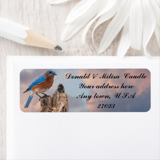 ÉTIQUETTE BLUEBIRD (En situation)