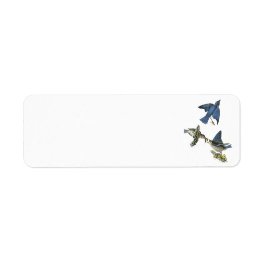 Étiquette Bluebird de l'Est par Audubon (Devant)