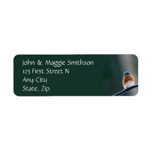 Étiquette Bluebird Garden Bird Faune Nature Custom