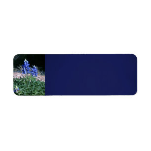 Étiquette Bluebonnets de banc de sable