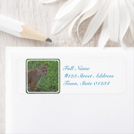 Étiquette Bobcat Prowling (En situation)