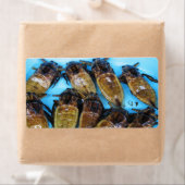 Étiquette Bogue d'eau géante frite (Maeng Daa) ... Alimentat (En situation)