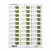 Étiquette Boho Blush Green Tropical Palm Beach Adresse : (Feuille entière)