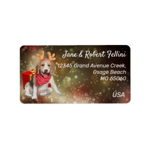 Étiquette Boitiers Beagles mignons rouge boîte festive Étiqu