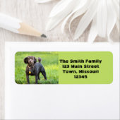 Étiquette Bonjour (En situation)