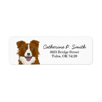 Étiquette Bordure Collie Adresse de retour