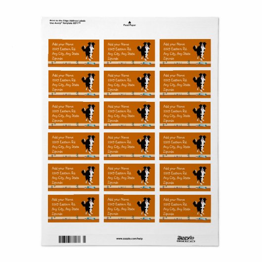 Étiquette Bordure Collie - Agilité (Feuille entière)