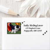 Étiquette Bordure Collie Agilité du tunnel (En situation)