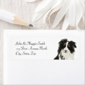 Étiquette Bordure Collie Chien Animal animal animal animal N (En situation)