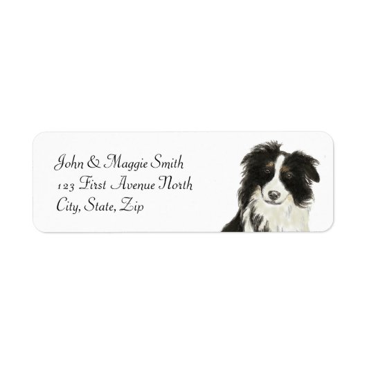 Étiquette Bordure Collie Chien Animal animal animal animal N (Devant)
