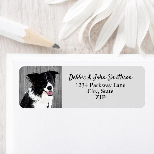 Étiquette Bordure Collie Chien Retour Adresse Animal Cute La (En situation)