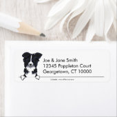 Étiquette Bordure Collie propre et simple (En situation)