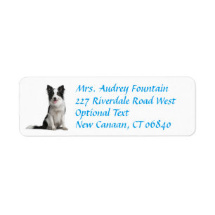 Étiquette Bordure Collie Puppy Doigt Retourner Adresse Étiqu