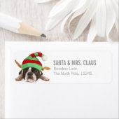 Étiquette Boston Terrier Avec Un Casquette De Noël (En situation)