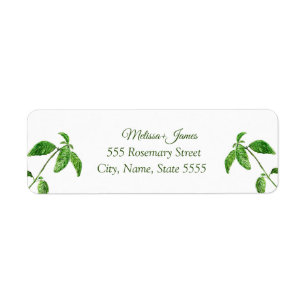 Étiquette Botanical Greenery Herbe Basil Mariage Retour Étiq