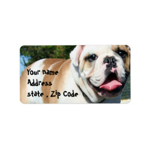 Étiquette Bouledogue anglais