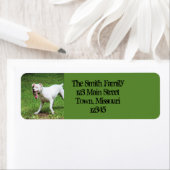 Étiquette Boxer (En situation)