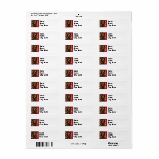 Étiquette Boykin Spaniel Color Block (Feuille entière)