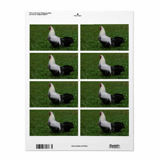 Étiquette Brakel Hahn (Feuille entière)