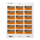 Étiquette Branches de feuilles d'érable II Automne orange (Feuille entière)