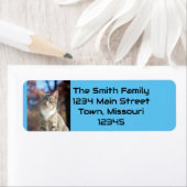 Étiquette Brin (En situation)