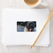 Étiquette Brindle Mastiff Chien (En situation)