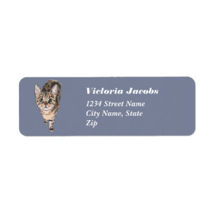Étiquette Brown Américain Shorthair Kitty