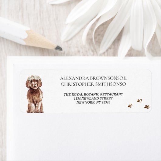 Étiquette Brown Cavapoo Chien Accueil Nouvelles mauvaises he (En situation)