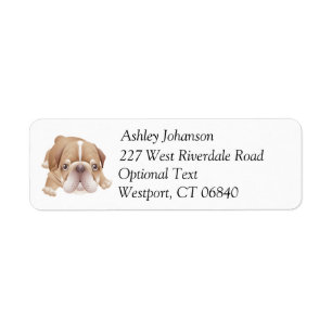 Étiquette Bulldog Puppy Dog Return Nom de l'adresse Étiquett