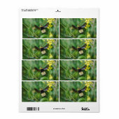 Étiquette Bumble Bee en vol (Feuille entière)