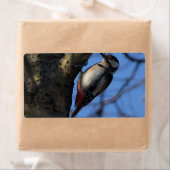 Étiquette Buntspecht (En situation)