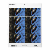 Étiquette Buntspecht (Feuille entière)