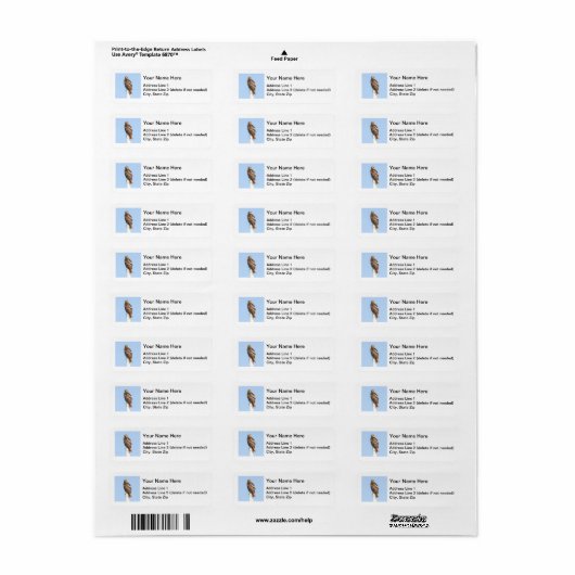 Étiquette Buse à queue rouge (Feuille entière)