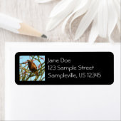 Étiquette Buse à queue rouge immature à Ocotillo Bush (En situation)