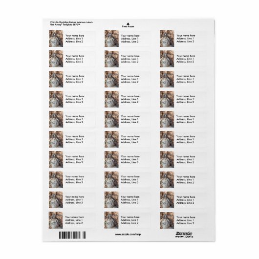 Étiquette Buse à queue rousse (Feuille entière)