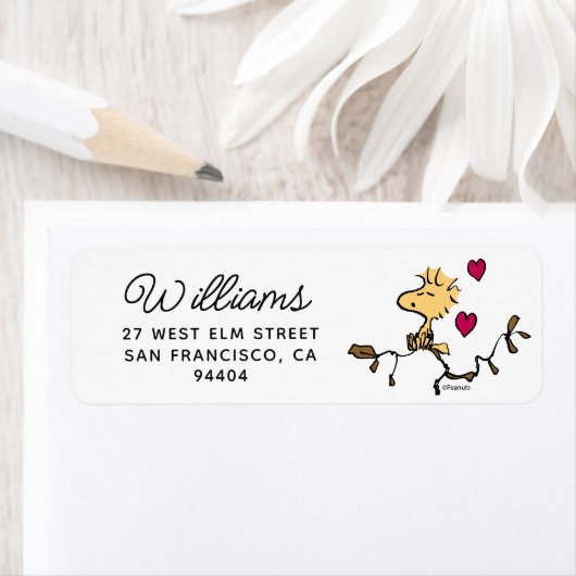 Étiquette cacahuètes | Sifflet Woodstock (En situation)