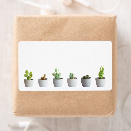 Étiquette Cactus in pots (En situation)