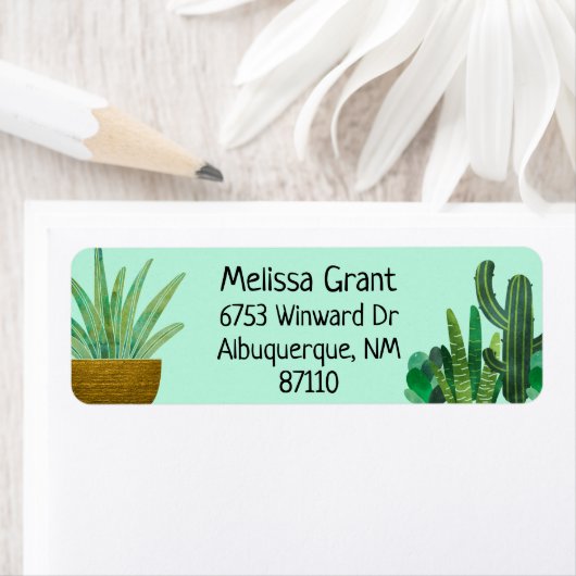 Étiquette Cactus, Succulents, À Partir, Artisanat, Retour (En situation)