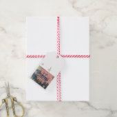 Étiquette cadeau d'alimentation pour oiseaux de No (Avec de la ficelle)