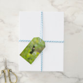 Étiquette cadeau de colibri (Avec de laficelle)