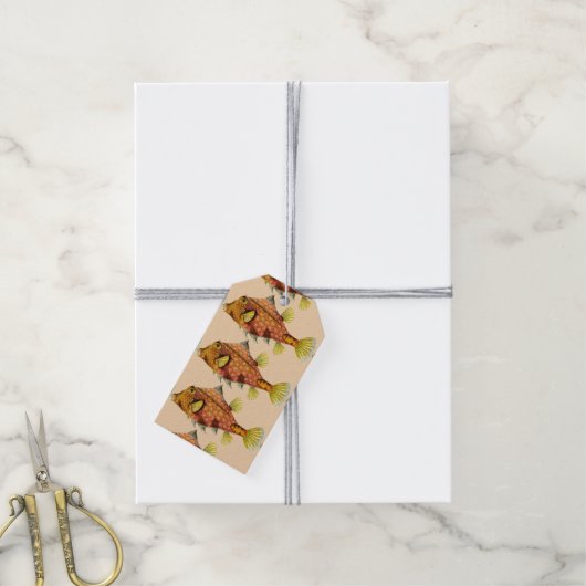 étiquette cadeau de l'emballage de poisson (Avec de la ficelle)