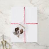 Étiquette Cadeau de Nourriture avec Photo et Nom d (Avec de la ficelle)