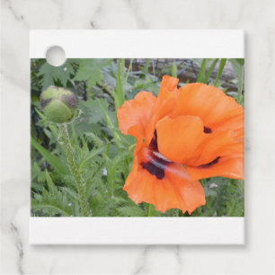 Étiquette cadeau de pavot