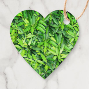 Étiquette-cadeau Feuilles verts réalistes