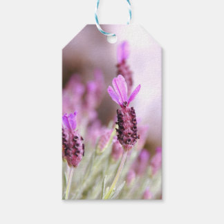 Étiquette cadeau Lavender