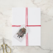 ÉTIQUETTE CADEAU Raton laveur DE NOËL (Avec de la ficelle)
